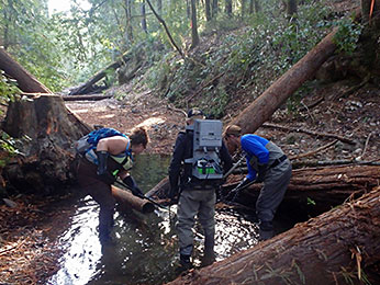 Figure 5.  CDFW staff rescuing juvenile salmon from isolated and drying habitats.  Photographer: Tyler Brown, CDFW, October 8, 2015, Olds Creek, tributary to the Noyo River, Mendocino County.