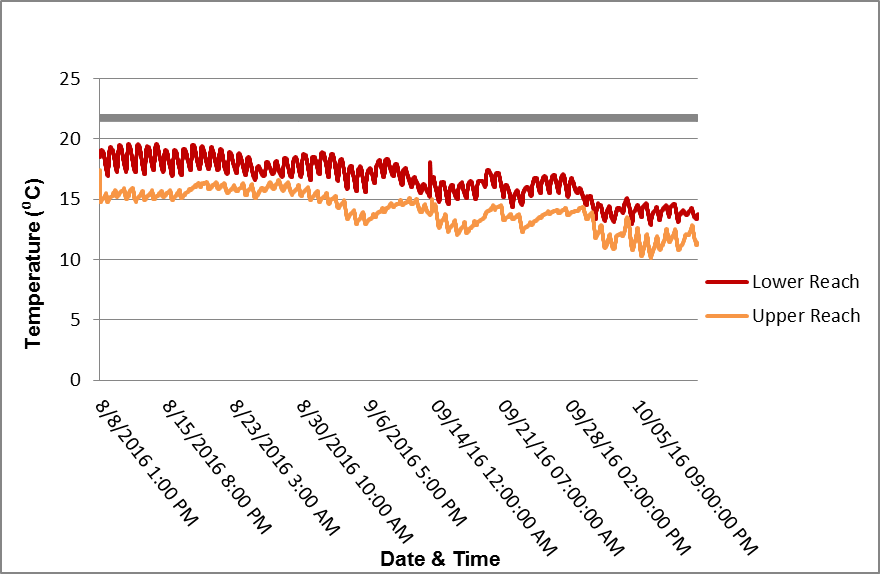 Graph depicting the trends in observed water temperatures for Mark West Creek monitoring reaches during summer of 2016. While the lower reach was consistently warmer than the upper reach, water temperatures at both reaches remained below 22 degrees Celsius. Water tempeartures above this level can eliminate salmon and steelhead. Both reaches experienced declining temperatures as summer gave way to fall.