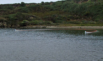 Figure 5B.  CDFW staff and partners use beach seine technique (Photos A and B) to capture steelhead at Pescadero Creek lagoon on July 15, 2015.  (Photo: CDFW)