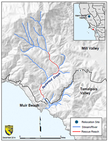 Map showing Redwood Creek, Marin County and 2014 rescue sites - click to enlarge