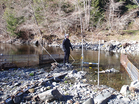 DIDSON collecting video of adult salmon on Redwood Creek with adjacent weirs ensuring that salmon swim in front of camera