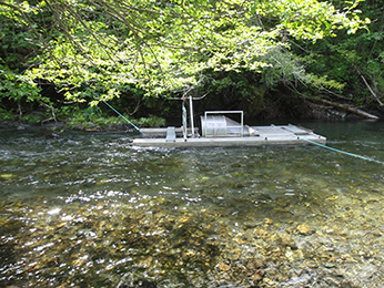 Rotary screw trap capturing out-migrating juvenile salmon “smolts” in the middle-upper reach of Redwood Creek