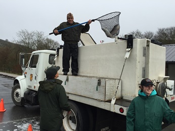 netting fish from truck