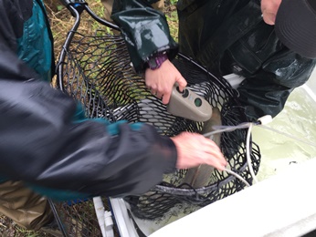 Each Coho Salmon was PIT tagged prior to release