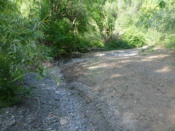 Dry Porter Creek where coho salmon smolts were rescued from drying pools.