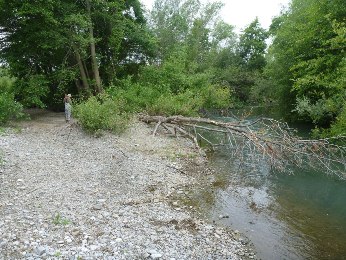 Dry Creek near the confluence of Mill Creek.