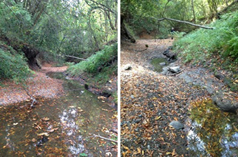 Russian River watershed Sonoma County - Click to enlarge image in a new window Russian River watershed Sonoma County - Click to enlarge image in a new window