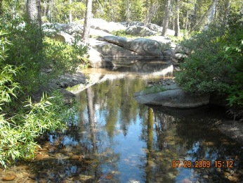 Figure 3a. Deep pool in Rattlesnake Creek, 2009 Photo: Deep pool in Rattlesnake Creek, 2009