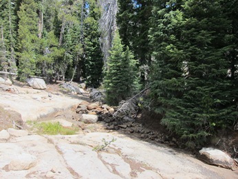 Fig. 7: Mostly dry section of the Heiser lake outle creek, 2015 Photo: Mostly dry section of the Heiser Lake outlet creek, 2015