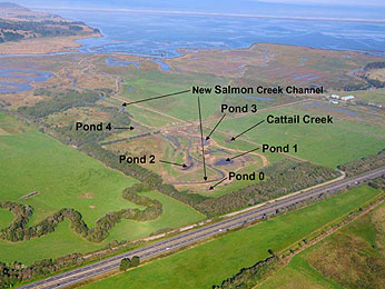 Fish and water quality sampling locations in the newly constructed off channel ponds, new Salmon Creek channel, old Salmon Creek channel, and Cattail Creek