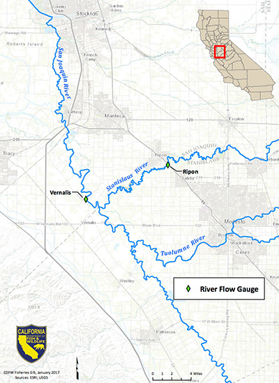 Map depicting locations of river flow gauges used to monitor dissolved oxygen in the San Joaquin and Stanislaus rivers - link opens in new window.
