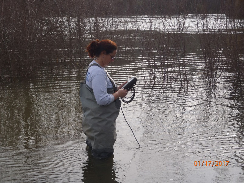 a CDFW scientist standing in the Tuolumne River and measuring dissolved oxygen