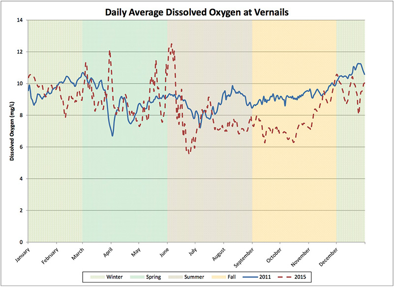 Graph comparing dissolved oxygen levels of 2015, a drought year, and 2011, a non-drought year, at the Vernails monitoring station on the San Joaquin River. Dissolved oxygen levels were generally lower and showed larger fluctuations during the drought year.