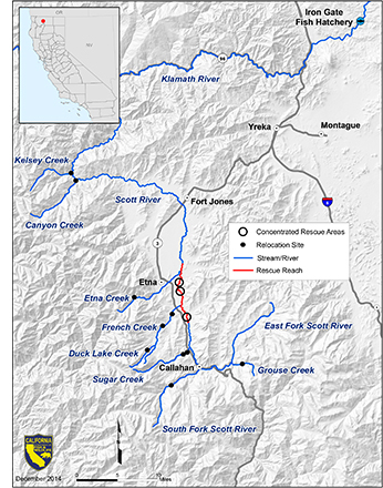 Scott River Coho Map - link opens in new tab