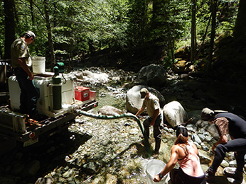 Releasing at etna creek