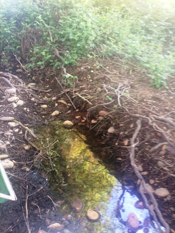 Drying Pool_Site-4 Drying Pool_Site-4