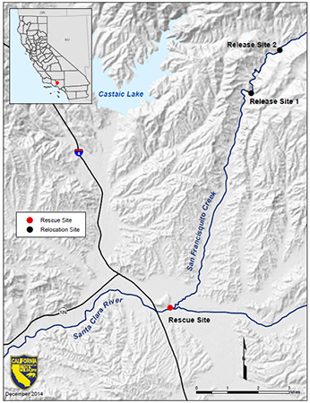 Stickleback-Map