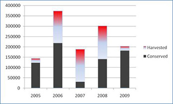 From Meese 2009 - Click to enlarge image in a new window From Meese 2009 - Click to enlarge image in a new window