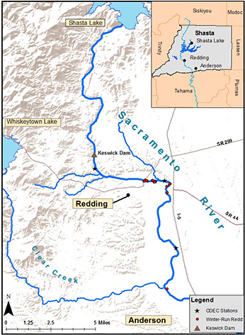 map of the locations of monitored winter-run Chinook Salmon redds and monitoring stations on the Upper Sacramento River; all redds were located downstream of the Keswick Dam - click to enlarge in new window