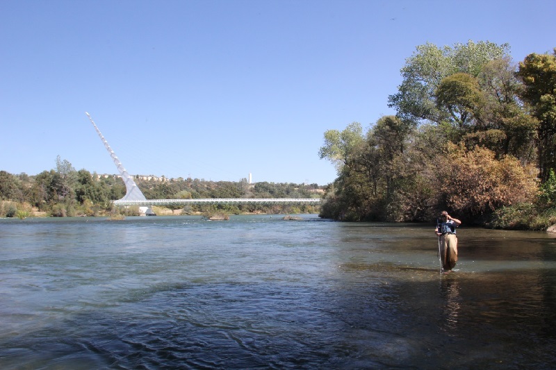 biologist from the Pacific State Marine Fisheries Commission measuring the water flow at the site of a winter-run redd towards the center of the Upper Sacramento River