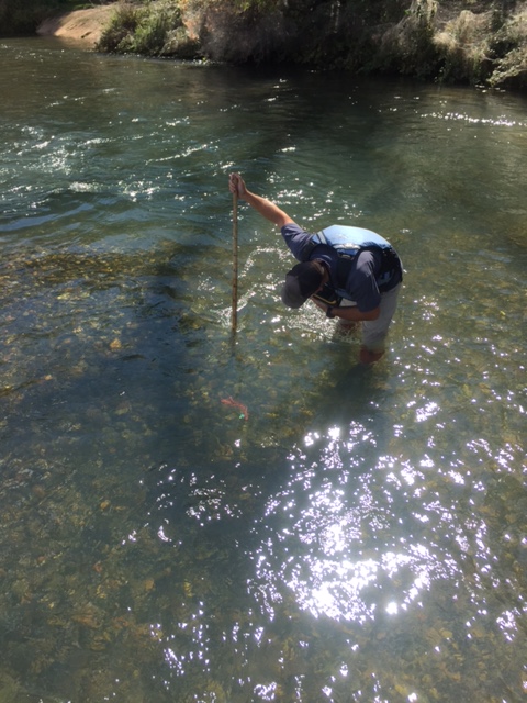 biologist from the Pacific State Marine Fisheries Commission measuring the water depth at the site of a winter-run redd towards the center of the Upper Sacramento River
