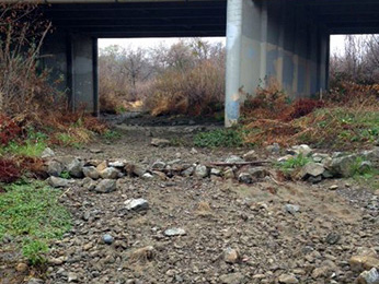 Figure 7. Uvas Creek at Santa Teresa Boulevard on 4 February 2014, five days after the rescue was conducted. Photo: CDFW
