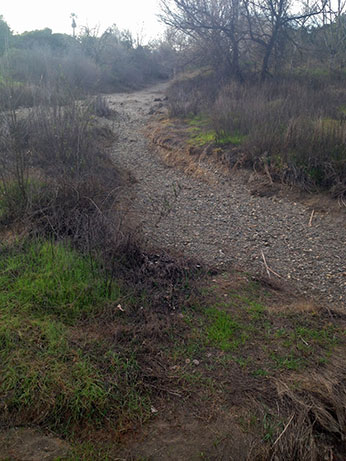 Silvas’ Crossing, Uvas Creek on January 12, 2015