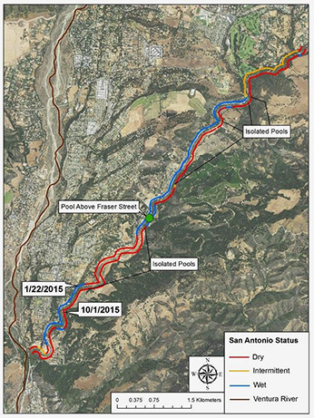 San Antonio Creek  - Click to enlarge image in new window