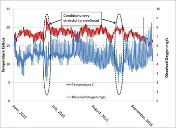 Temperatue and dissolved oxygen - Click to enlarge image in an new window