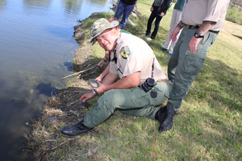 scientist releasing turtle