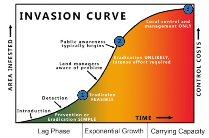 Exponential growth curve graphic showing area infested and cost increasing over time