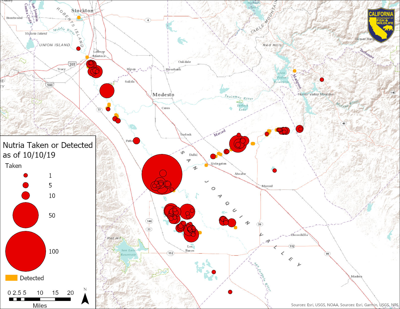 Map showing locations and densities of nutria taken or otherwise detected in California as of October 10, 2019.