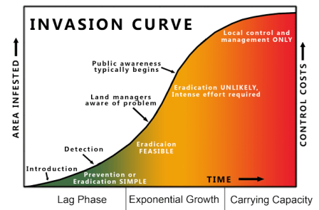 Invasion Curve image