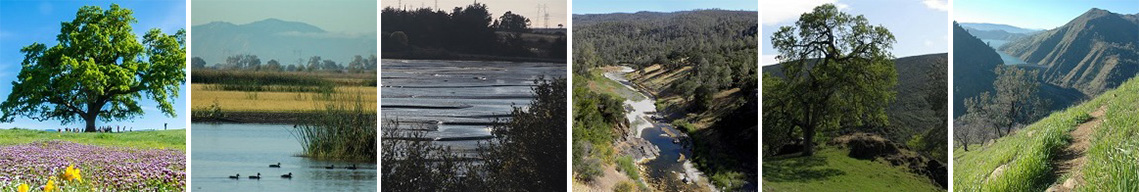 Photos of North Table Mountain Ecological Reserve, Yolo Bypass Wildlife Area, Elkhorn Slough Ecological Reserve, Cedar Roughs Wildlife Area, Knoxville Wildlife Area, Putah Creek Wildlife Area