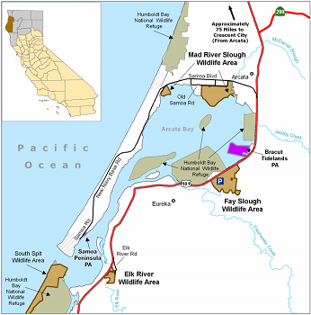 Map of Mad River Slough WA - click to enlarge in new window
