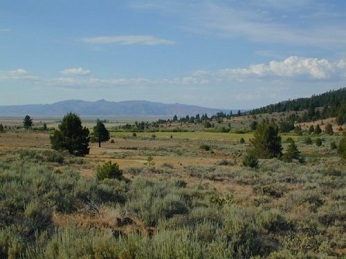 view of hills meeting valley floor at Antelope Valley Wildlife Area