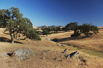View of rolling hills with oak trees and large boulders