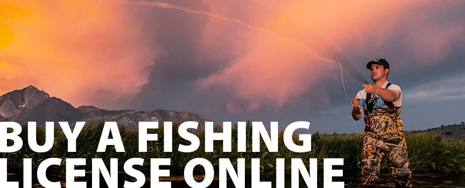 Buy a Fishing License online
