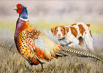 2015 Upland Winning Entry