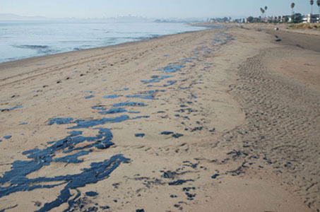 A stretch of beach littered with oil patties.