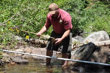 scientist taking samples in a stream