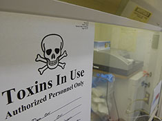 Toxin analysis at the Laboratory