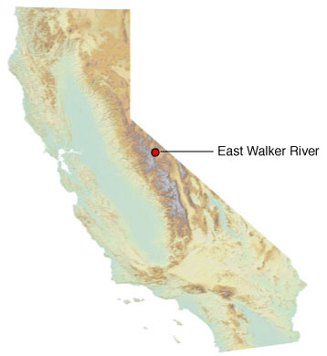 map showing spill location in the eastern Sierras