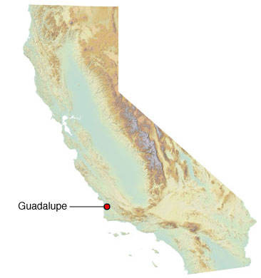 map showing spill location about two-thirds south on California coast