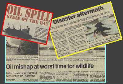collage of newspaper articles relating to the Kure Spill