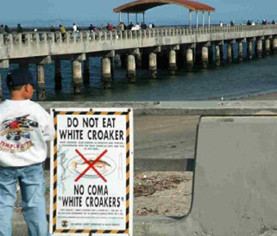 a notice reading, 'Do Not Eat The White Croaker', posted at a public pier