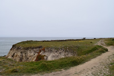 A sea cliff over the Pacific Ocean on a clody day with a walking path on the right and a bench overlooking the sea. This shows the location of the entire population of Coast Yellow Leptosiphon.