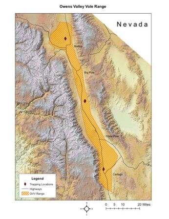 Range Map Owens Valley vole