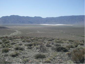 Overview of Deep Springs Valley - black toad habitat