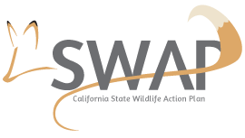 state wildlife action plan